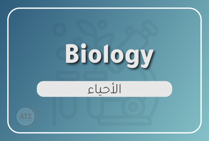 ازهري-انجليزي_Artboard 16