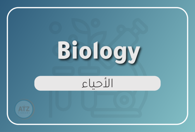 العام انجلزي-11